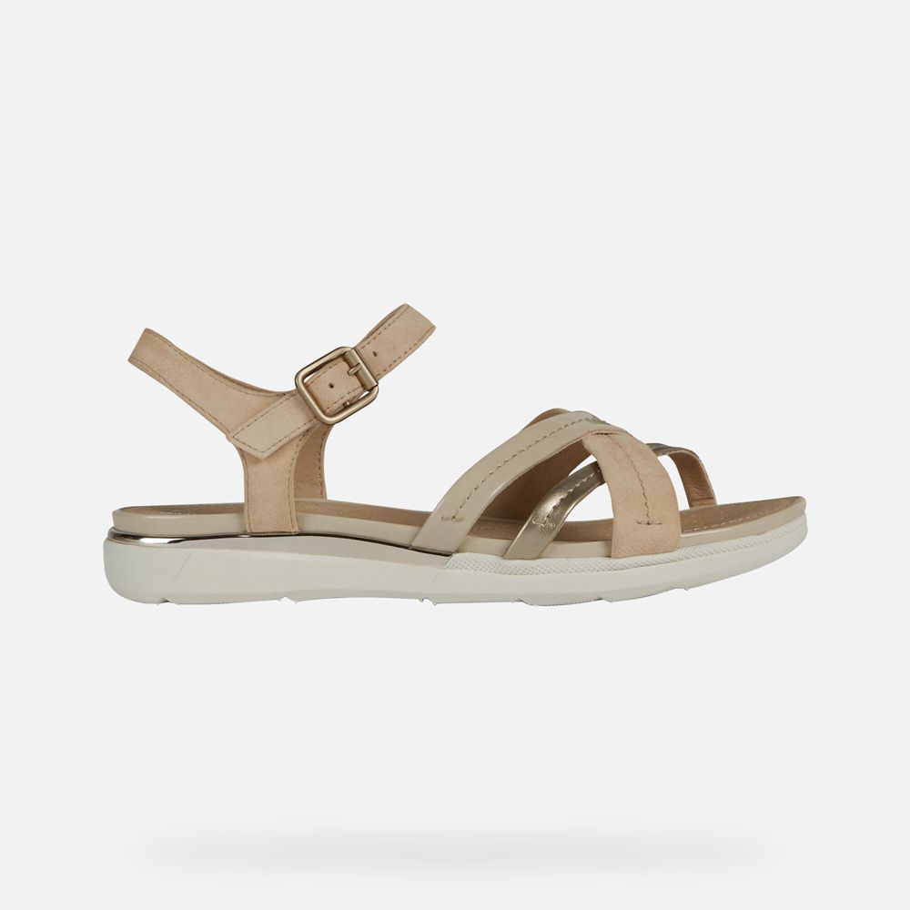 Sandalias Geox Senhora Bege Escuro - Hiver - VBKXR8302